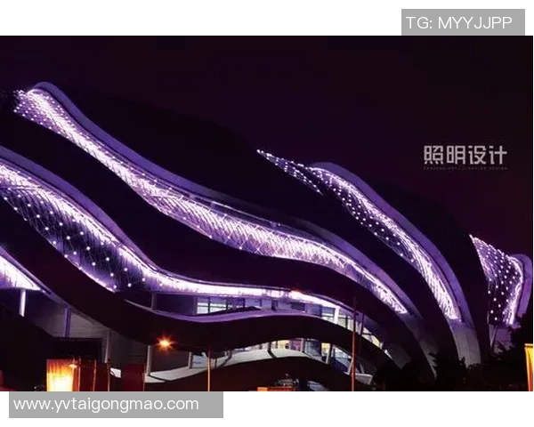 广州极限运动队技术创新引领潮流成就极限运动新高度 广州极限运动队技术创新引领潮流成就极限运动新高度