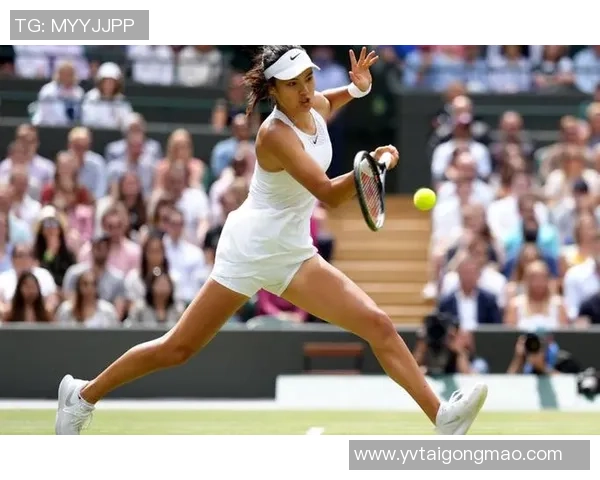 杨丽的网球人生深度对话探索她的奋斗与梦想之路