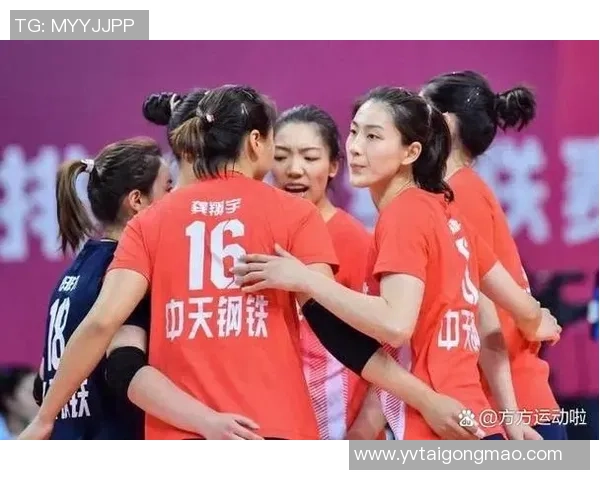 深圳排球队实力解析：各队员表现与战术优势全面对比分析