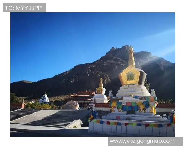 滑板少年吴磊的成长之路与梦想追逐深度对话