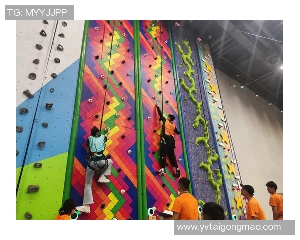 极限运动的魅力与挑战：深入探讨北京极限运动队的团队协作精神与实践